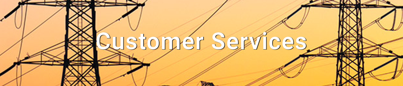 Customer Services